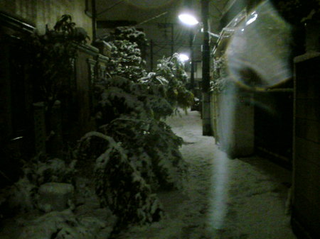 SN3D2044.jpgのサムネール画像