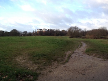 Hampstead heath