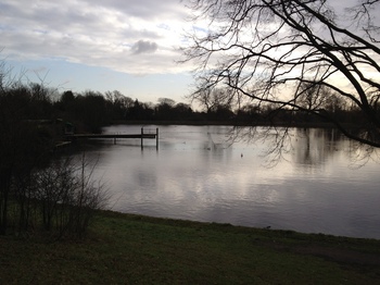 Hampstead heath