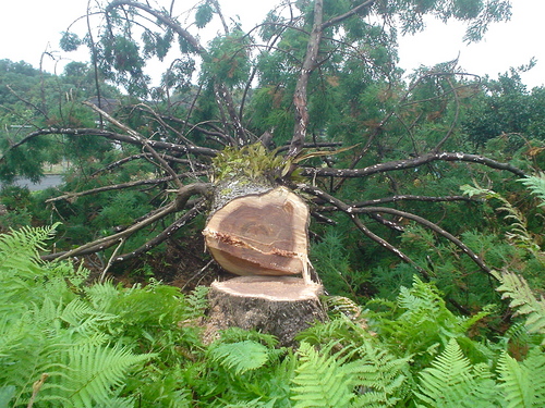 DSC00075.JPG
