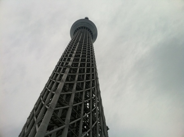 IMG_0881.jpg